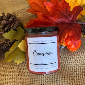 Cinnamon Soy Candle | Cinnamon 7.5 Ounce Soy Candle | Cinnamon Candle | Winter Candles | Valentine