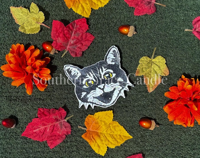Black Cat Car Freshie