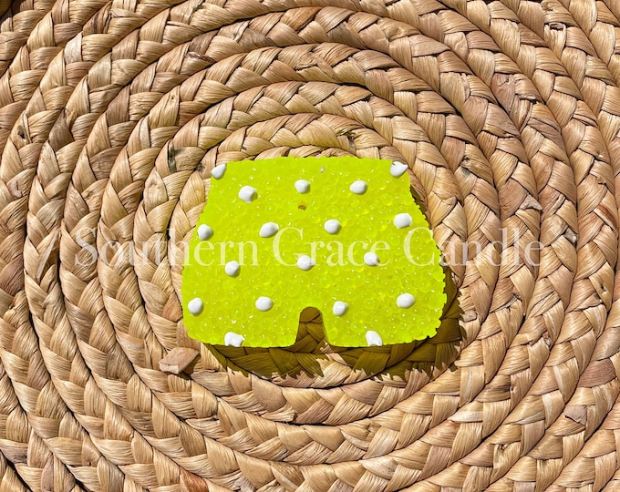 Polka Dot Swim Trunks Freshie