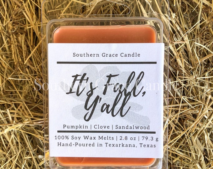 It’s Fall, Y’all Soy Wax Melts
