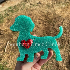 Dachshund Freshie | Dachshund Freshy | Weenie Dog Freshy | Weenie Dog Freshie | Dog Freshy | Dog Freshie | Freshie | Freshy