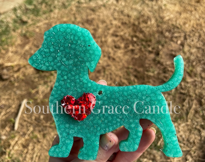 Dachshund Freshy