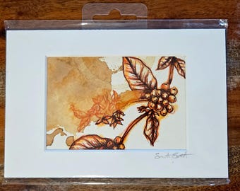 Botanical Art - Coffee Plant & Coffee Cherries Original Artwork - approximately 3.5x4.5in Matted to 4x6in