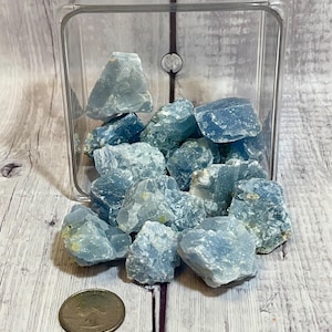 May include: A clear plastic container filled with rough, light blue crystals. The crystals are various sizes and shapes. A U.S. quarter coin is next to the container for size comparison. The crystals are on a light wood-grain surface.
