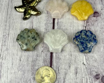 May include: A set of six small, polished seashells in various colors and patterns, including pink, yellow, white, green, and blue. A gold-colored starfish is also included in the set.