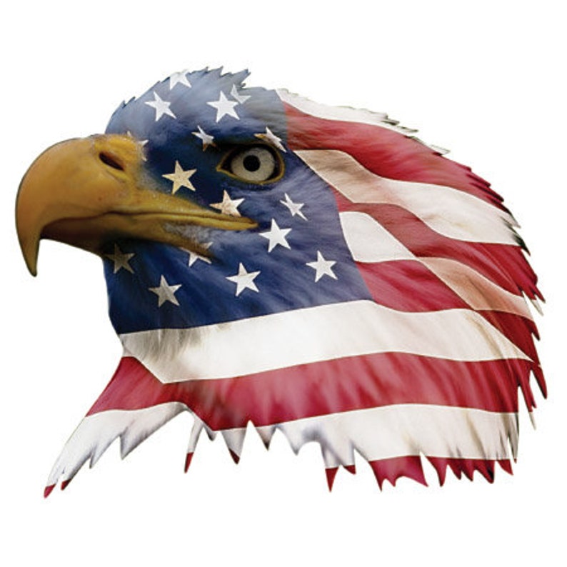 May include: A bald eagle head with a tattered American flag design. The eagle's eye is visible, and the flag is red, white, and blue.