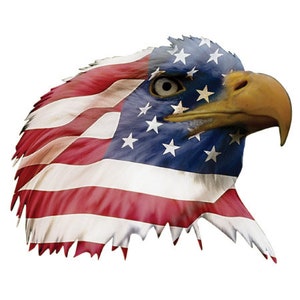 May include: A close-up of an eagle's head with the American flag design. The eagle's eye is visible, and the beak is open slightly. The flag is red, white, and blue with white stars on a blue field.