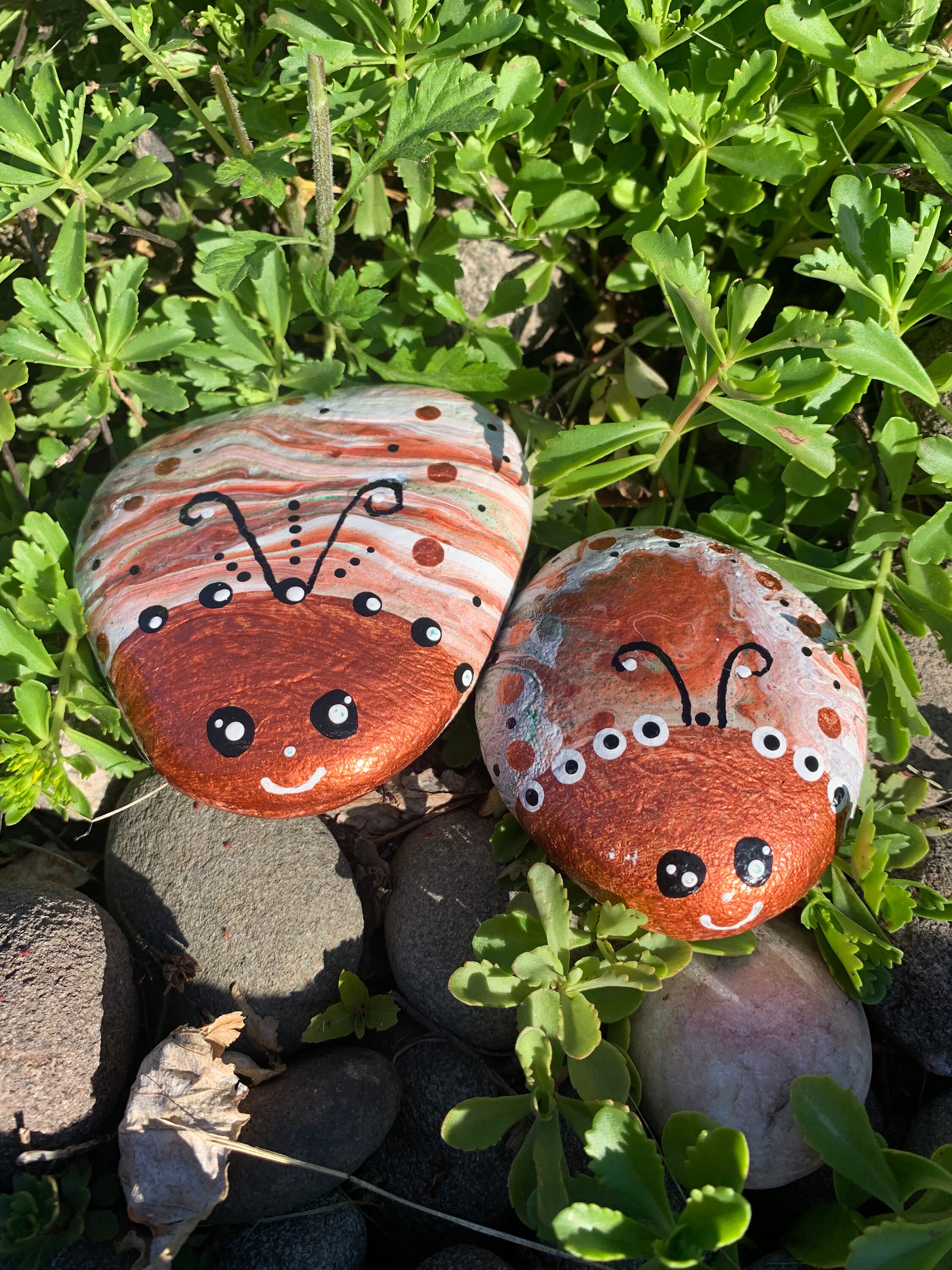 Bemalte Felsen.. Buggles.. Satz von 2… GartenDekor Etsy