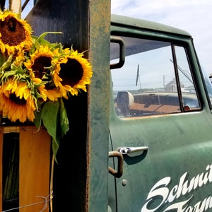 Sunflowers on Farm Truck