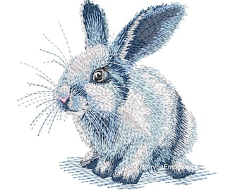 Bunny Machine embroidery designs, Bunny embroidery files, Instant download