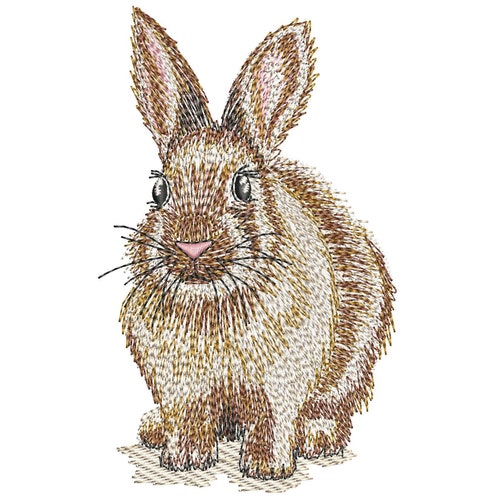 Bunny Embroidery Design 3 Sizes Instant Download - Etsy