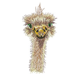 Pode incluir: Design bordado de uma cabeça de avestruz, com costuras detalhadas em tons de castanho, bege e amarelo. A avestruz tem olhos verdes brilhantes e um bico amarelo. O desenho está sobre um fundo branco.
