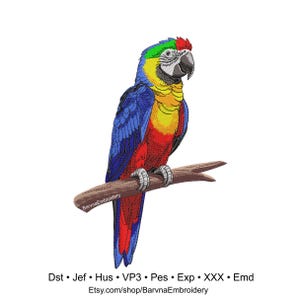 Parrot Design for Embroidery Machines – Tropical Bird on Branch – Instant Download