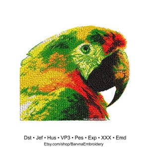 Parrot bird embroidery design for machine, 1 size - 5.4inX6.2in, instant download