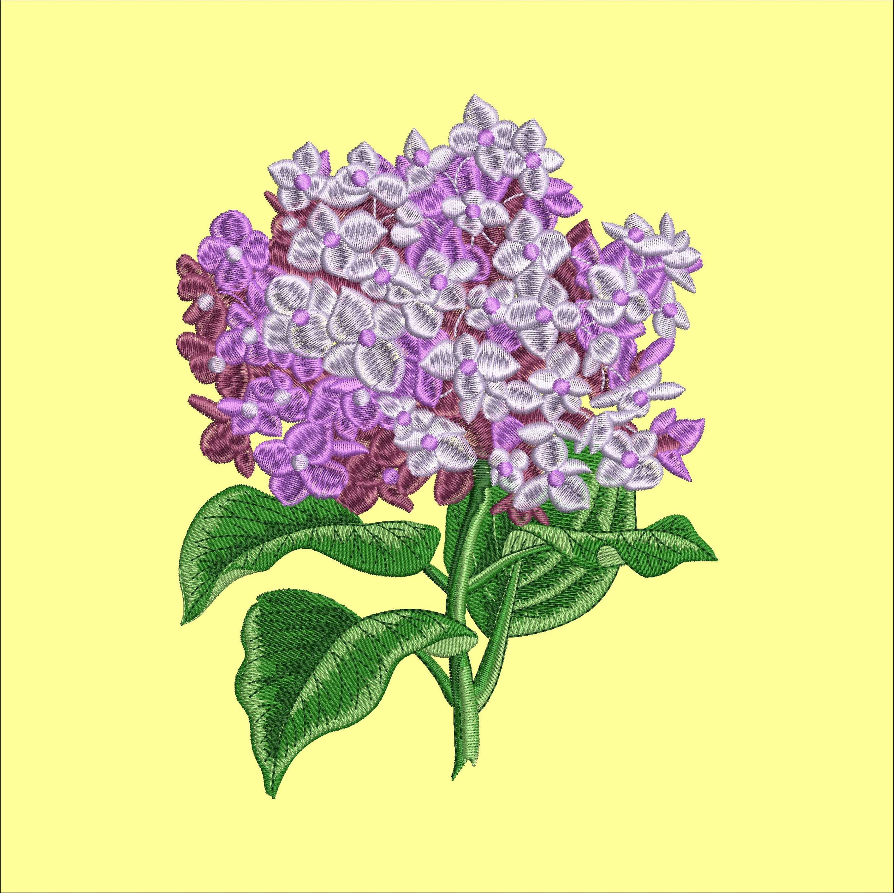 hydrangeaオーダーページ Vintage Hydrangea themed Collection-DPKL983HGXN