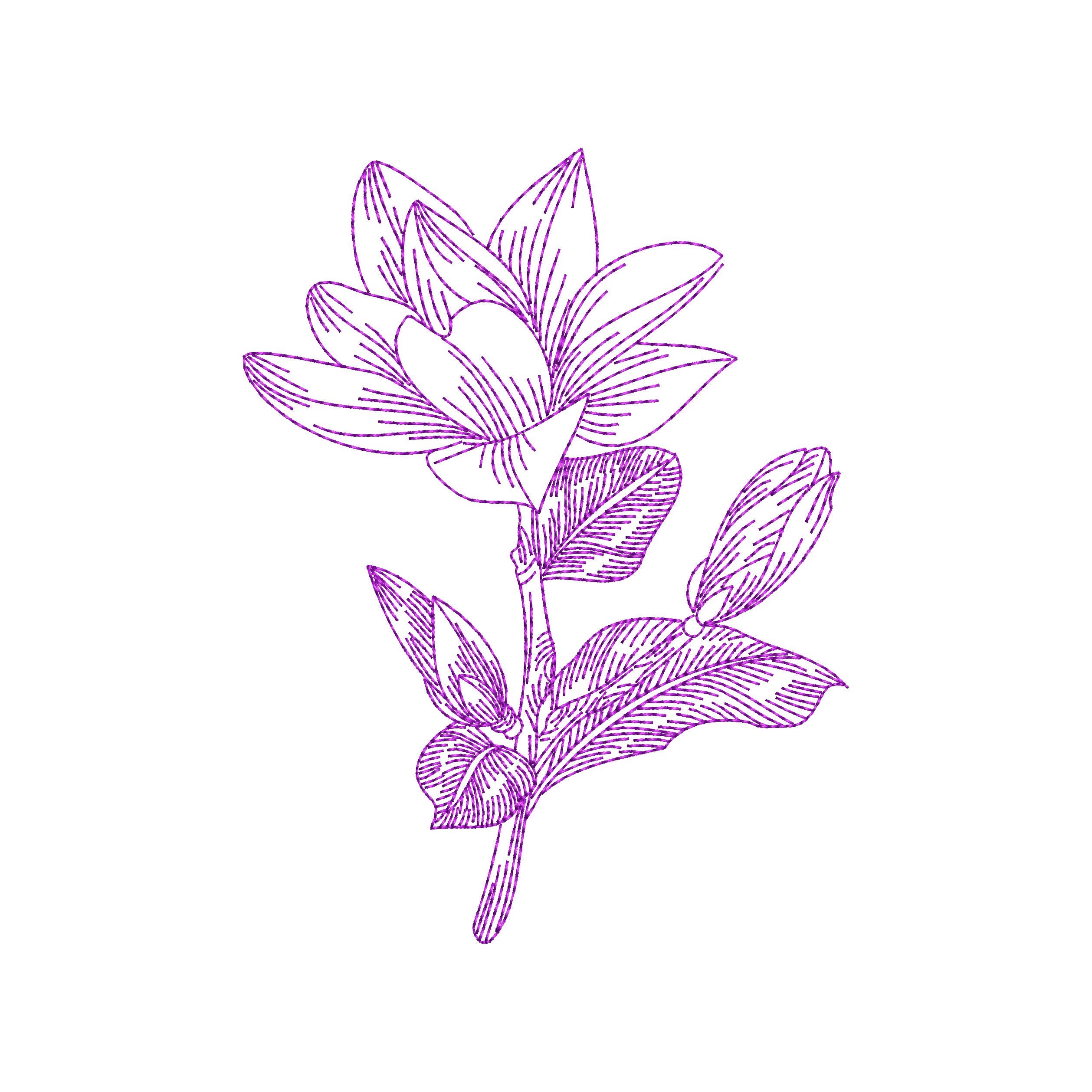 Magnolia flowers machine embroidery designs plant embroidery  etsy