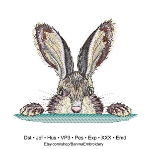 Bunny embroidery designs for machine, Animal embroidery design, Easter embroidery, Digital download