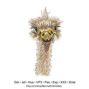 Ostrich Machine embroidery designs, Ostrich embroidery files, Instant download