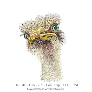 Ostrich Machine embroidery designs, Ostrich embroidery files, Instant download