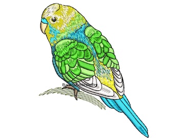 Birds embroidery designs for machine, Budgie Parakeet embroidery design, Instant download