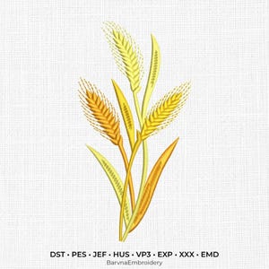 Può includere: Un disegno per ricamo raffigurante un gruppo di spighe di grano dorate con dettagli in filo giallo e arancione testurizzato. Sotto il grano, il testo recita: DST, PES, JEF, HUS, VP3, EXP, XXX, EMD e BarvnaEmbroidery in caratteri neri.