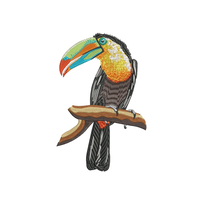 Toucan bird machine embroidery designs birds embroidery  etsy