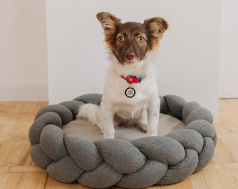 Modern dogs bed