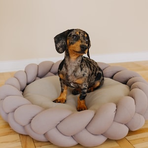 Dog Bed Furniture