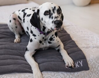 Custom pet blanket Puppy Blanket Personalized Dog Blanket New dog gift Dog Accessories