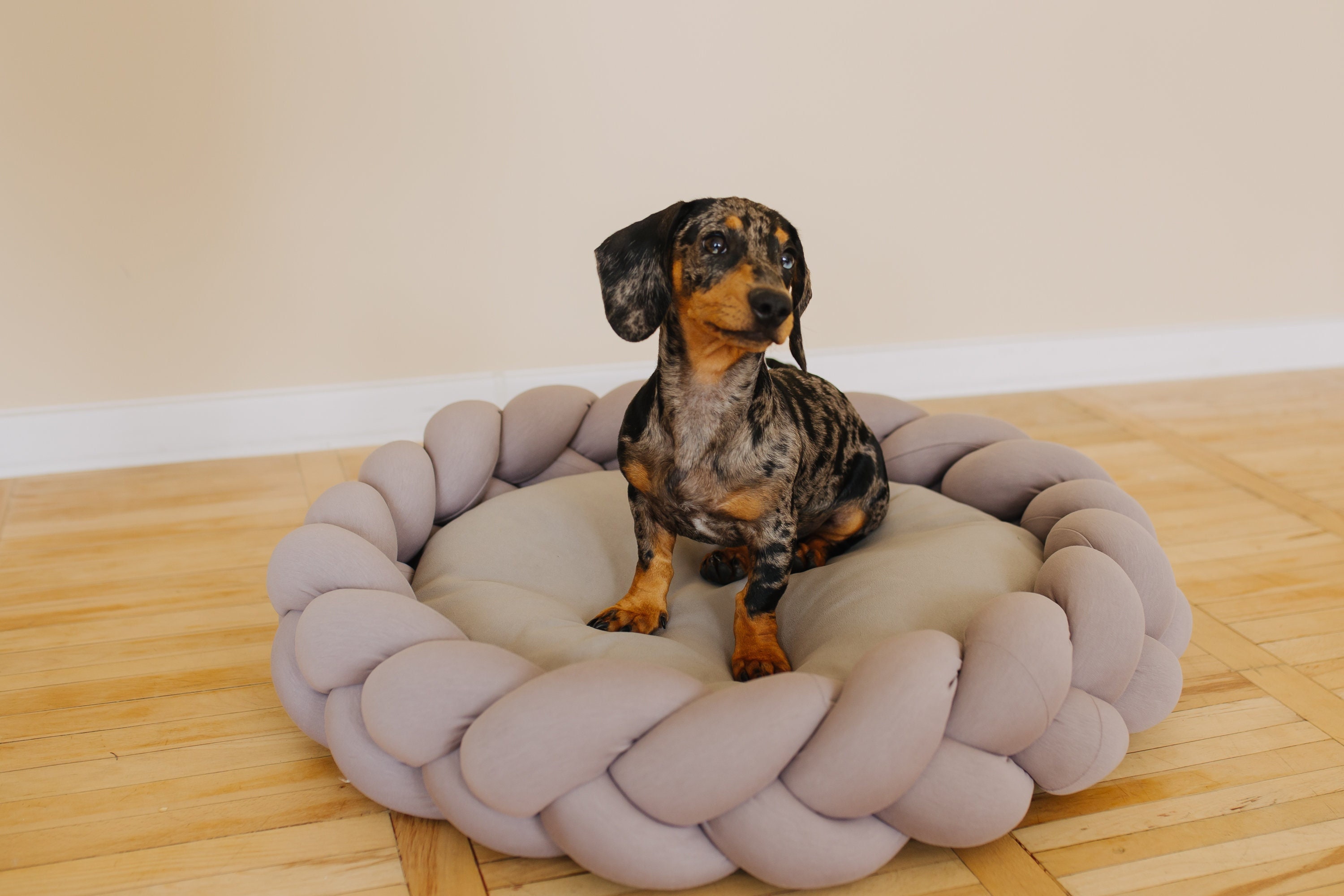 modern dog beds for large dogs