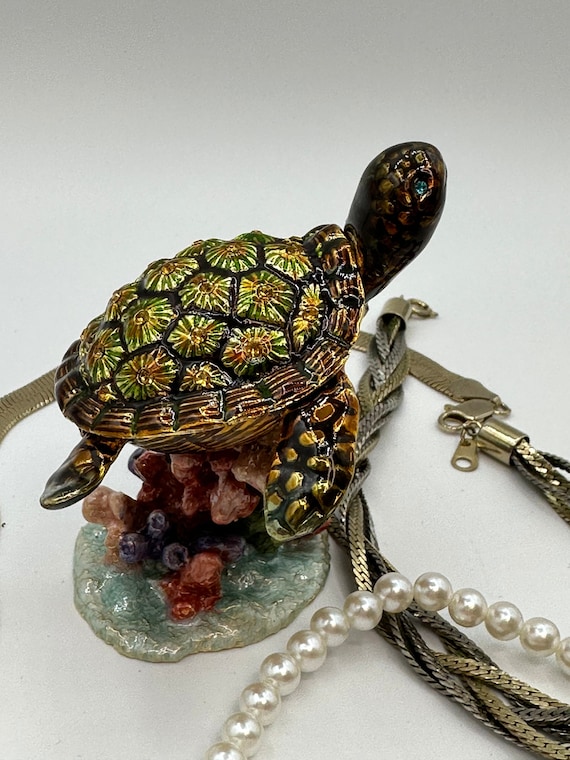 Keren Kopal Turtle on a Rock