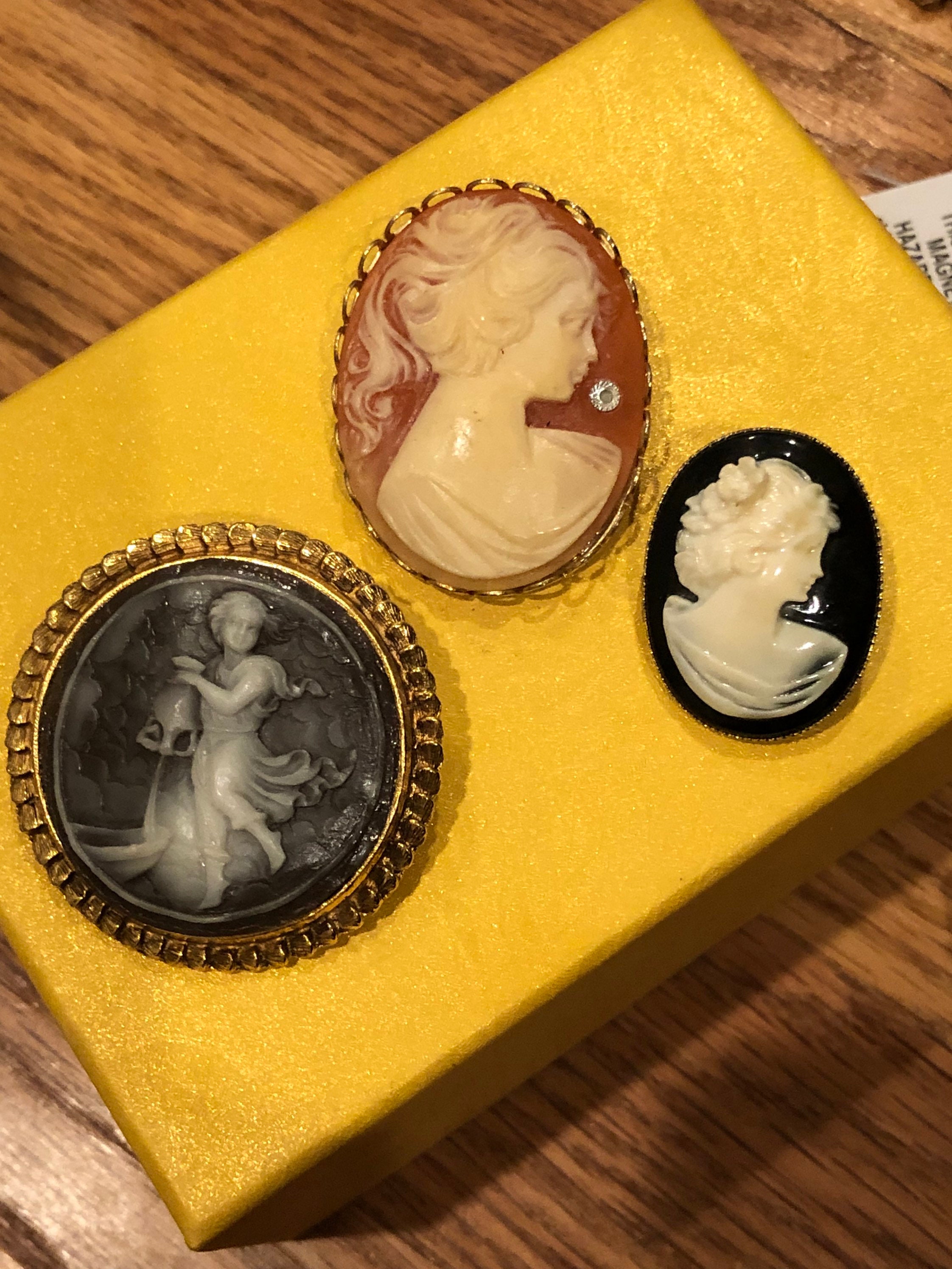 Vintage Lovely Three Cameo Pins.one Has a Diamond in It Etsy
