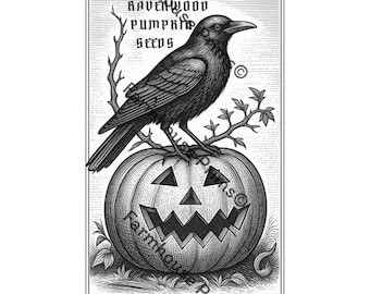 Semi di zucca Ravenwood