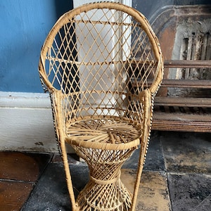 Small rattan peacock chair.