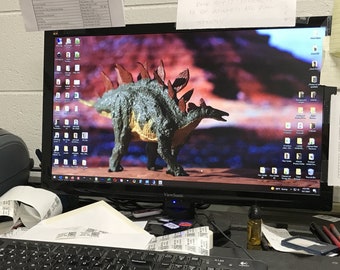 Dinosaur Desktop Wallpaper - Stegosaurus - Jurassic - Digital Download