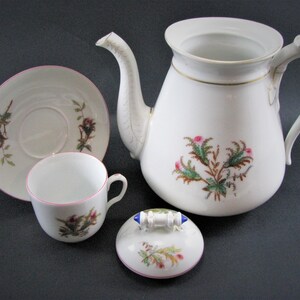 Charles Field Haviland Limoges Porcelain Moss Rose Coffee Pot Cup & Saucer ca.1880&#39;s