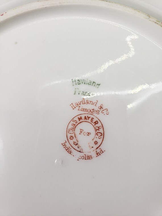 Haviland & Co France Chas Mayer Schleiger 242 Rose and Floral