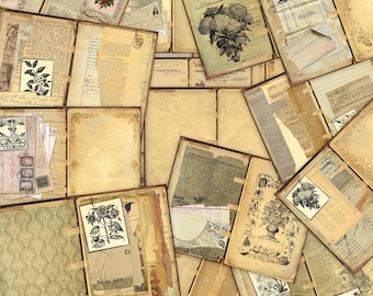Könnte beinhalten: Eine Sammlung von Vintage-Journalen und Papieren mit floralen Illustrationen und handschriftlichem Text. Die Seiten sind gealtert und haben einen abgenutzten Look, der ihnen einen rustikalen Charme verleiht.