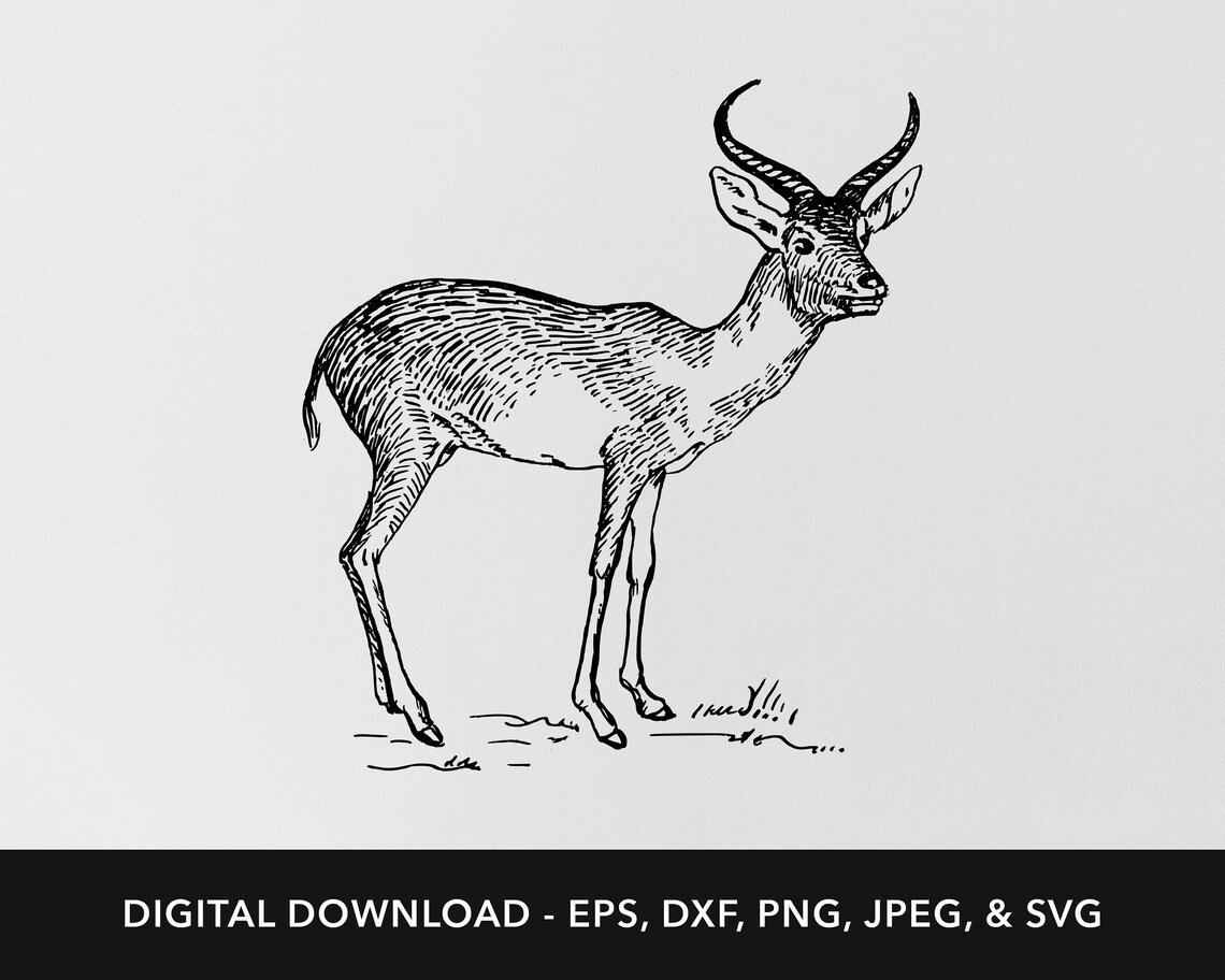 Antelope Svg Animals Svg Antelope Dxf Antelope Png - Etsy