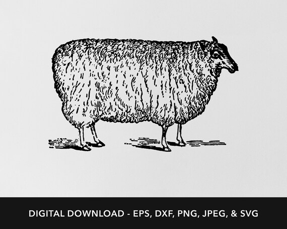 Schaf svg Schablone Bauernhof Tier Cricut png druckbar Dxf - Etsy.de