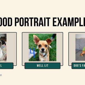 Custom pet portrait, dog portrait from photo, watercolor pet portrait, dog portrait custom painting, handmade gift, pet loss painting image 3