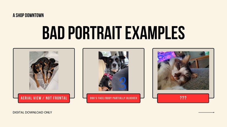 Custom pet portrait, dog portrait from photo, watercolor pet portrait, dog portrait custom painting, handmade gift, pet loss painting image 2
