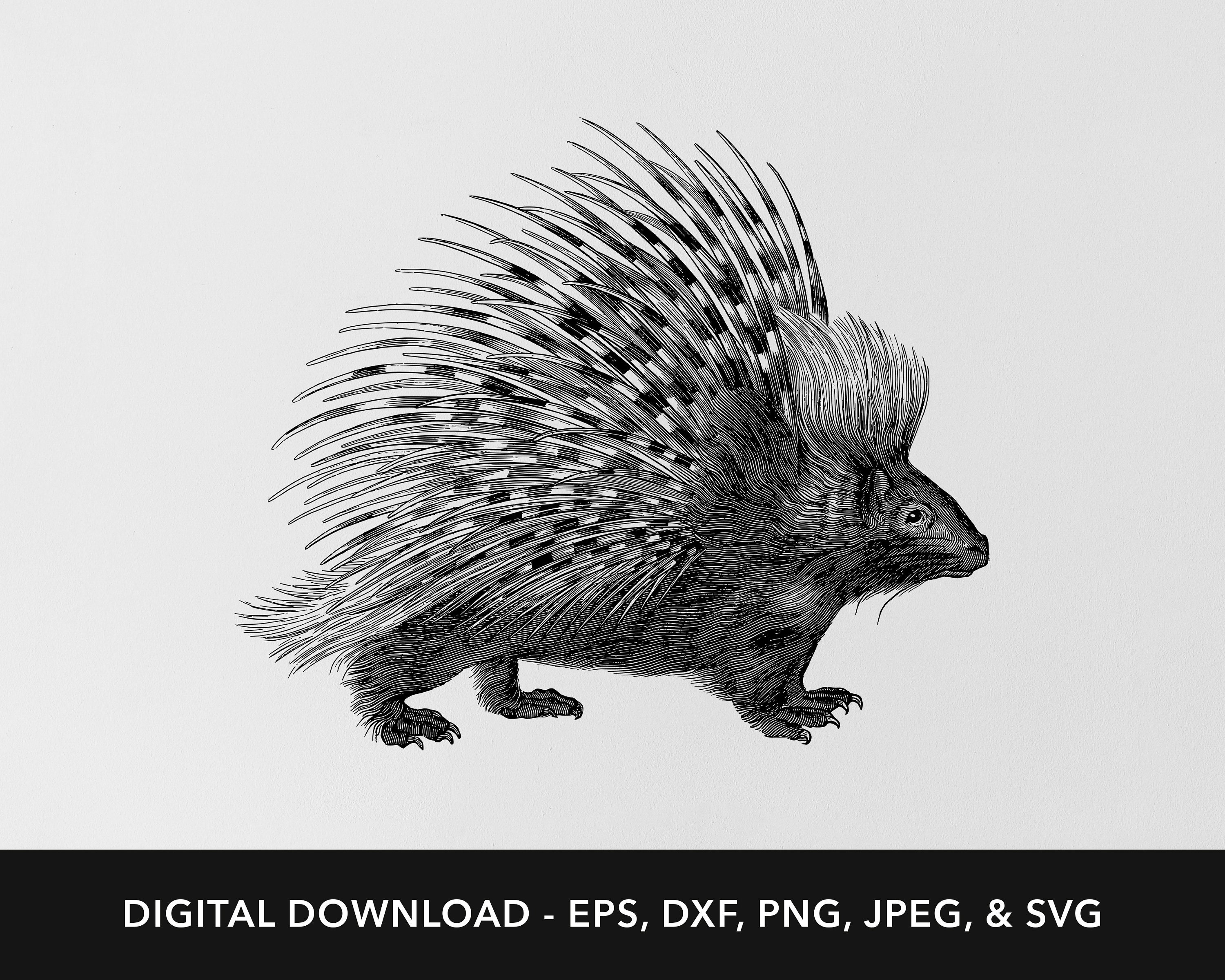 Porcupine Crafts - Etsy Australia