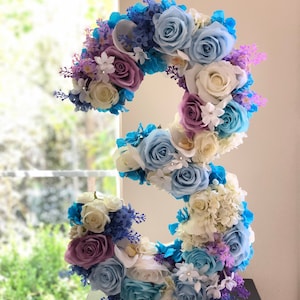 Frozen-inspired Birthday Number, Frozen Birthday, Elsa Birthday, Winter themed Party, Disney Princess Party, Personalized Gift