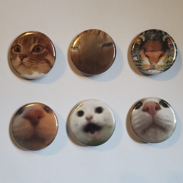 Close-up Cat Face Pinback Button Set, Purrfect Faces Set 2, 1.25" inch