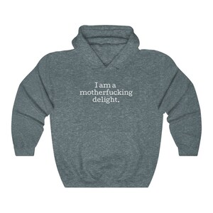May include: A dark gray hooded sweatshirt with the text "I am a motherfucking delight." printed in white on the front.