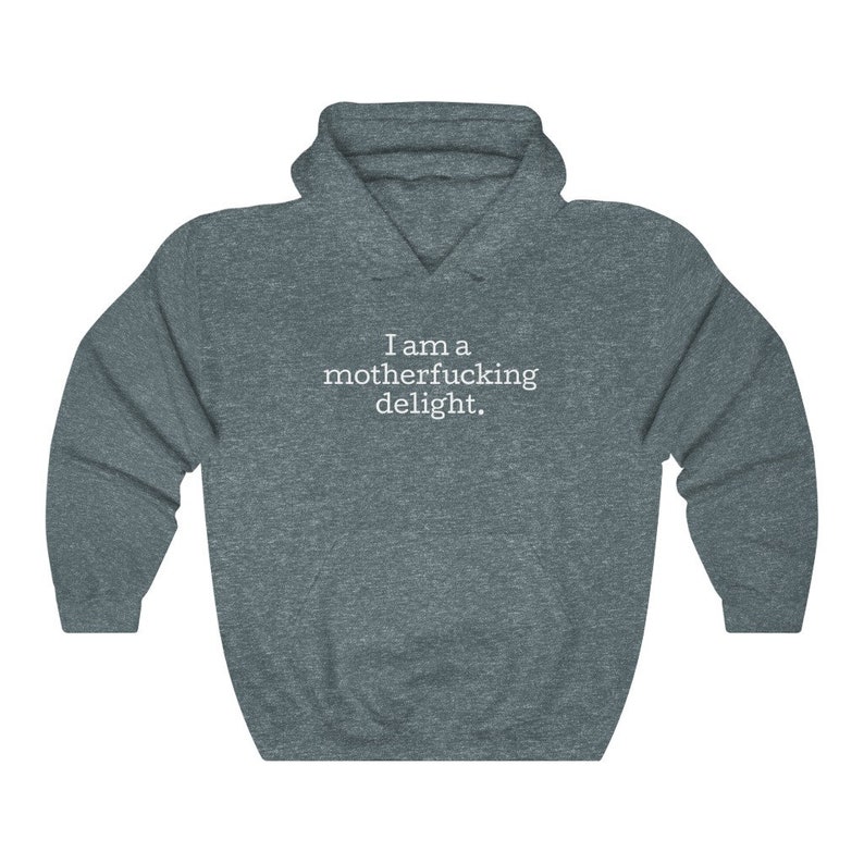 May include: A dark gray hooded sweatshirt with the text "I am a motherfucking delight." printed in white on the front.