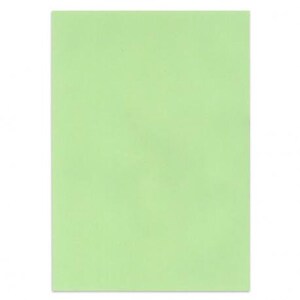 Feuilles A4 cardstock couleur vertes claires 160g/m2