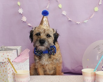 Gold Dog Birthday Party Hat: Chunky Glitter with Custom Age