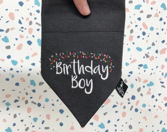 Dog Bandana - Dog Collar Bandana - Birthday Boy (Confetti)